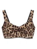 Dolce & Gabbana silk-blend cropped top - Brown