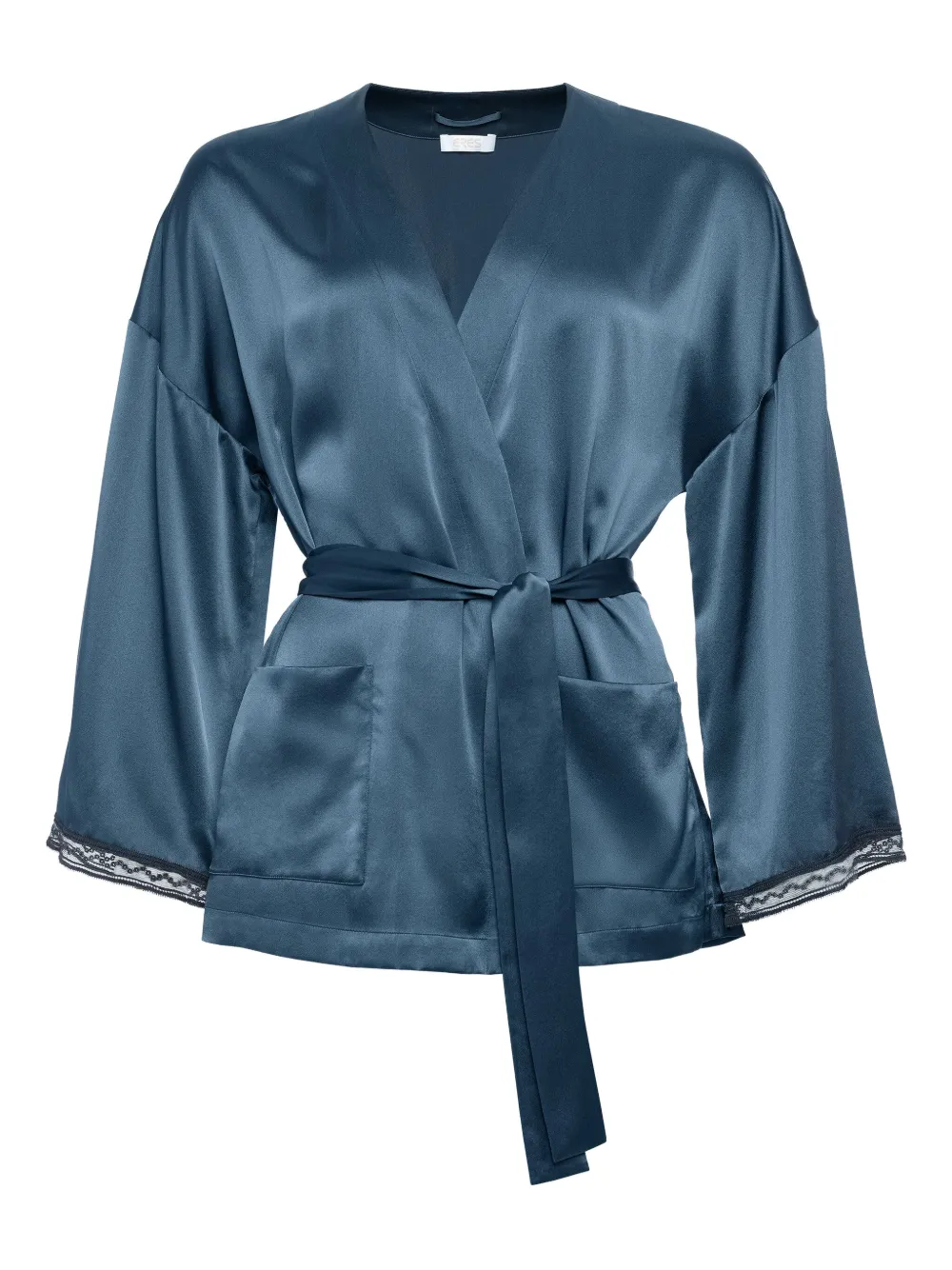 ERES Ondine lace-trimmed silk robe | Blue | Image 1