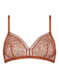 ERES triangle lace bra - Brown