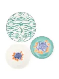 Lisa Corti Indian Tiger plate set - Green