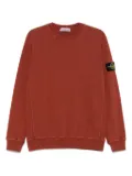 Stone Island Compass-badge sweatshirt - Brown