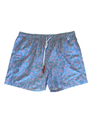 Isaia