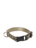 A.P.C. Toutou dog collar - Brown