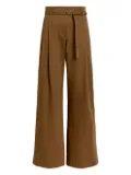 Proenza Schouler White Label pleated trousers - Brown