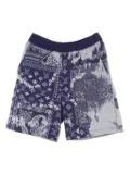 Louis Vuitton Pre-Owned 2010s cotton shorts - Blue
