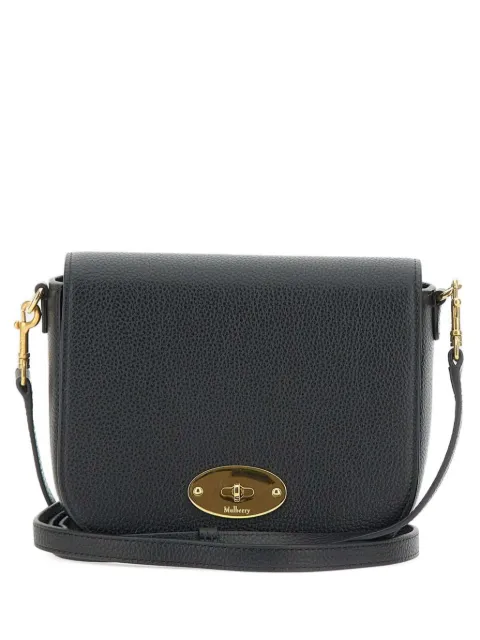 Mulberry شنطة كتف 'دارلي' صغيرة