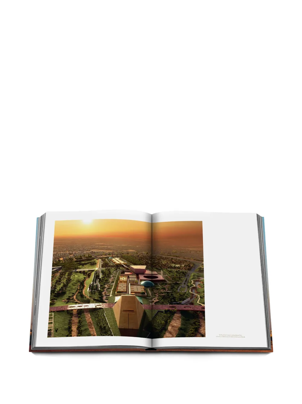 Assouline Riyadh Infinite Book In Multi