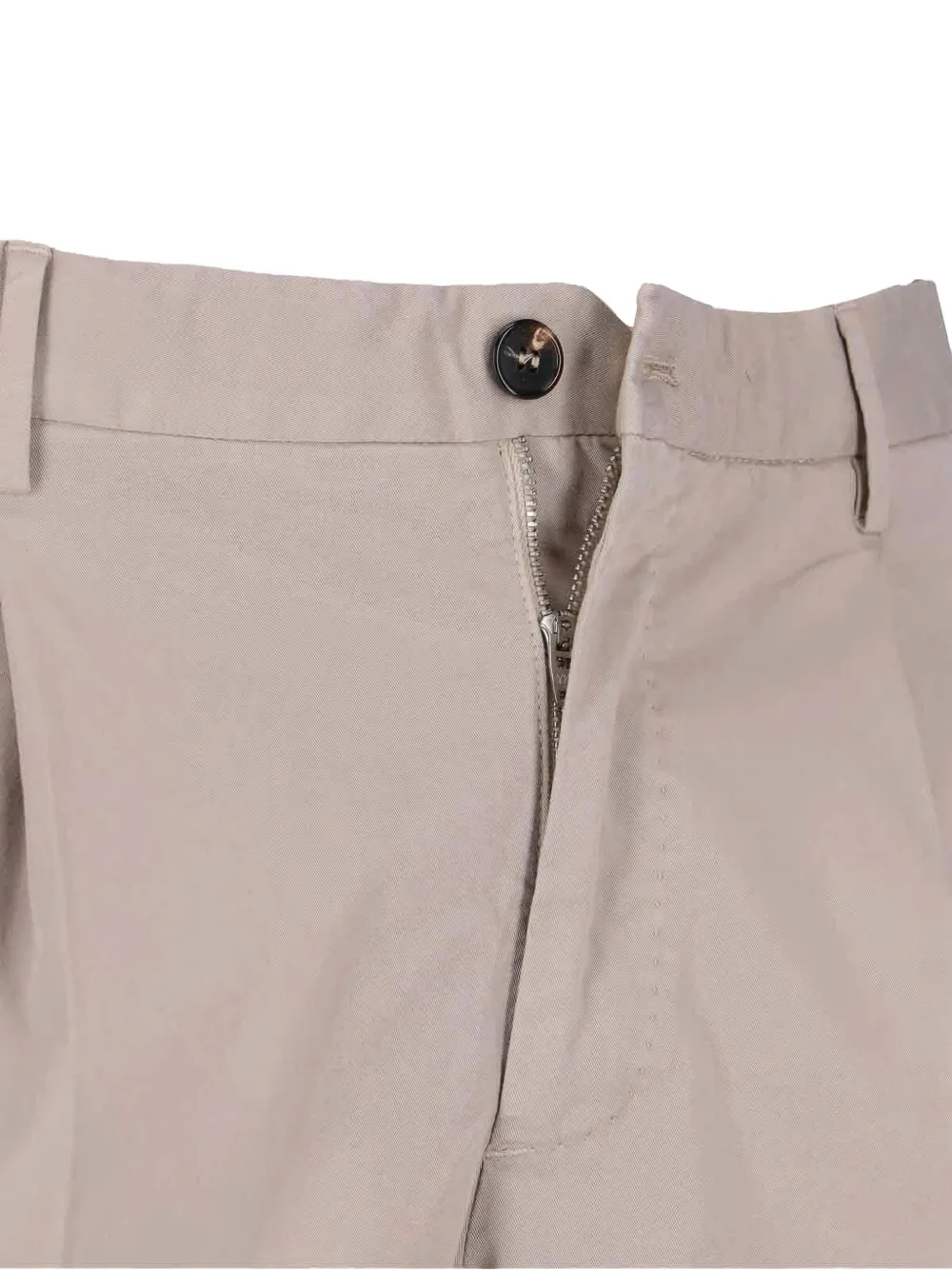 Incotex Pleated-front Trousers In Neutral