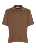 Cruciani textured polo shirt - Brown