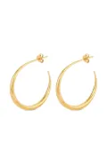 Dinny Hall Signature Hera hoop earrings - Gold