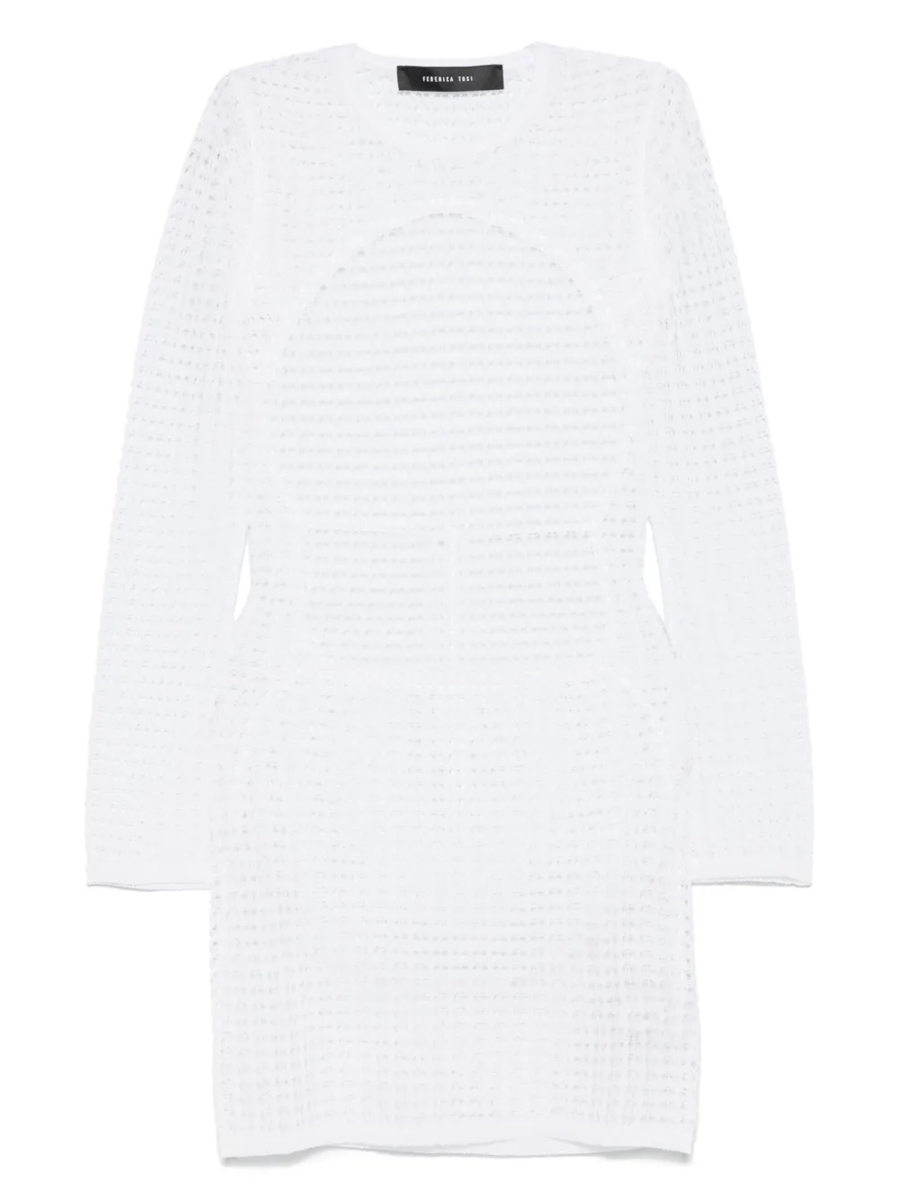 Federica Tosi mesh dress