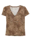 MC2 Saint Barth leopard print v-neck T-shirt - Brown