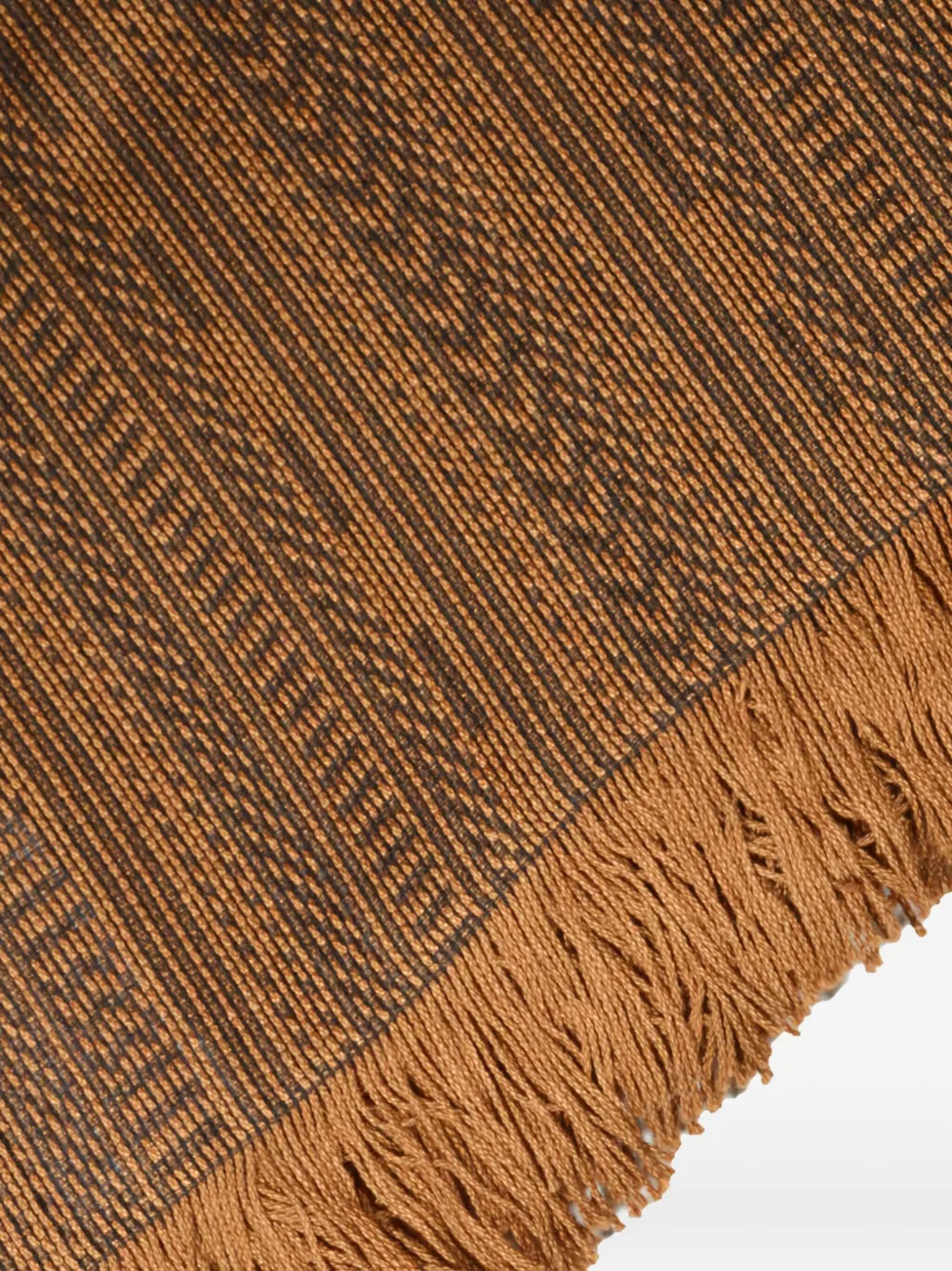 Max Mara fringed patterned scarf - Bruin