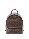 Louis Vuitton Pre-Owned 2017 Palm Springs MM backpack - Brown