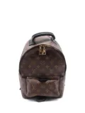 Louis Vuitton Pre-Owned 2017 Palm Springs PM backpack - Brown