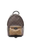 Louis Vuitton Pre-Owned 2018 Palm Springs backpack - Brown