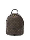 Louis Vuitton Pre-Owned 2015 Palm Springs monogram backpack - Brown