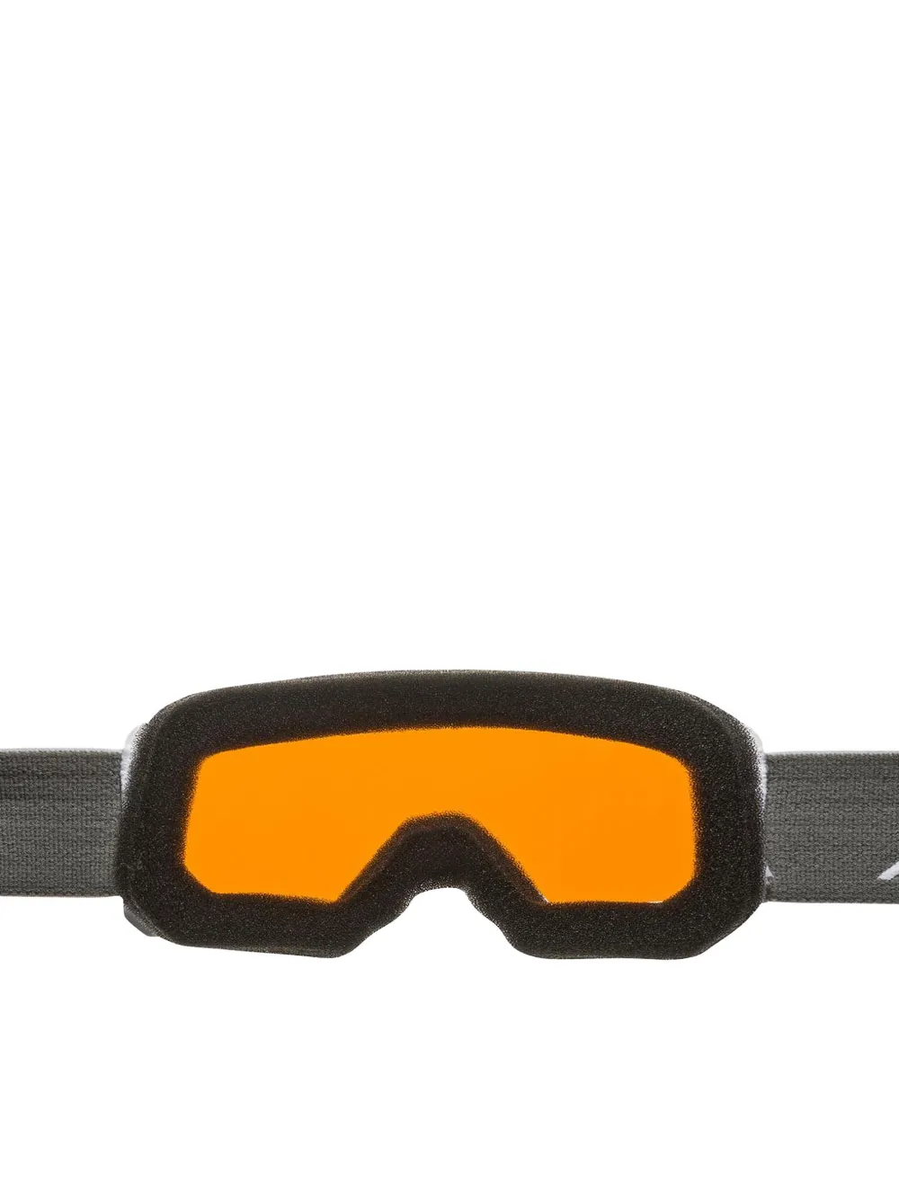 Alpina Fernie Q-lite Ski Googles