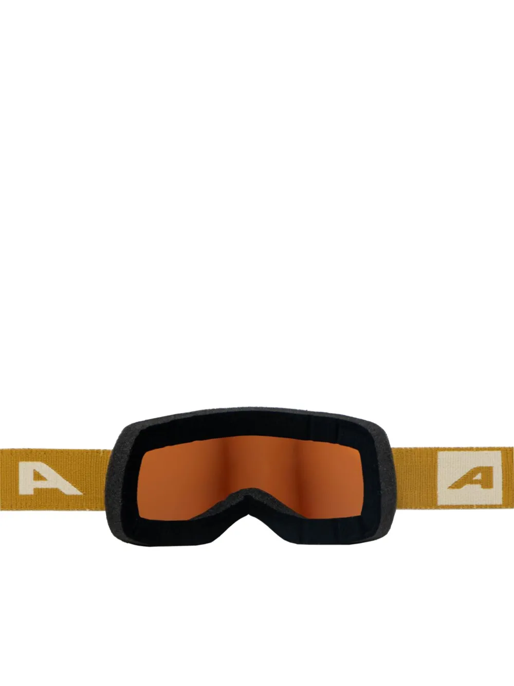 Alpina Fernie Q-lite Ski Googles