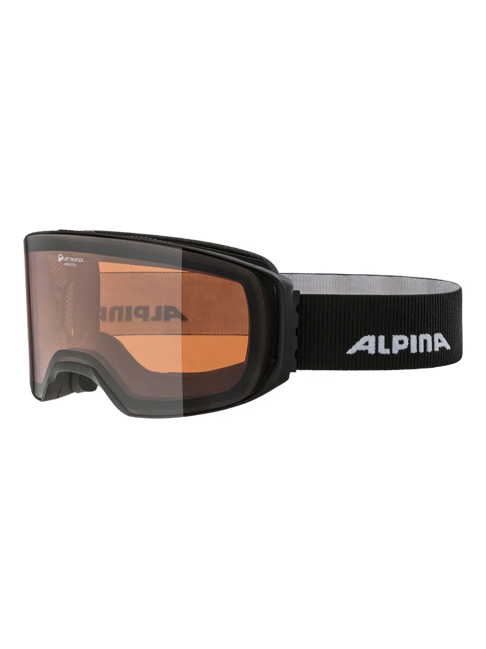 Alpina Arris ski googles | Accessoires de ski | Image 2