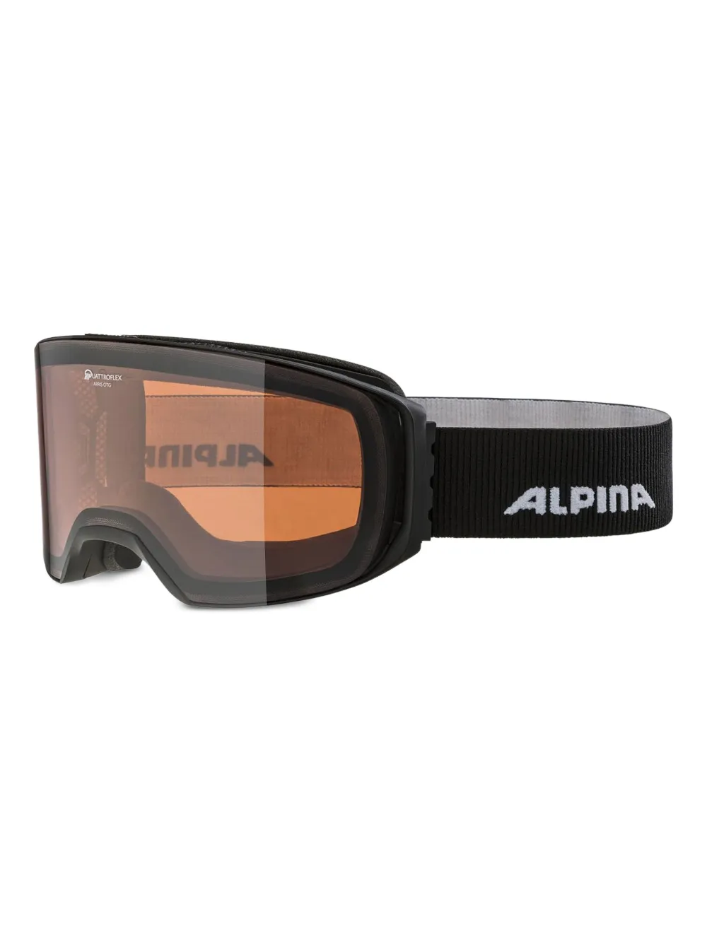 Alpina Arris ski googles | Ski Accessories | Image 2