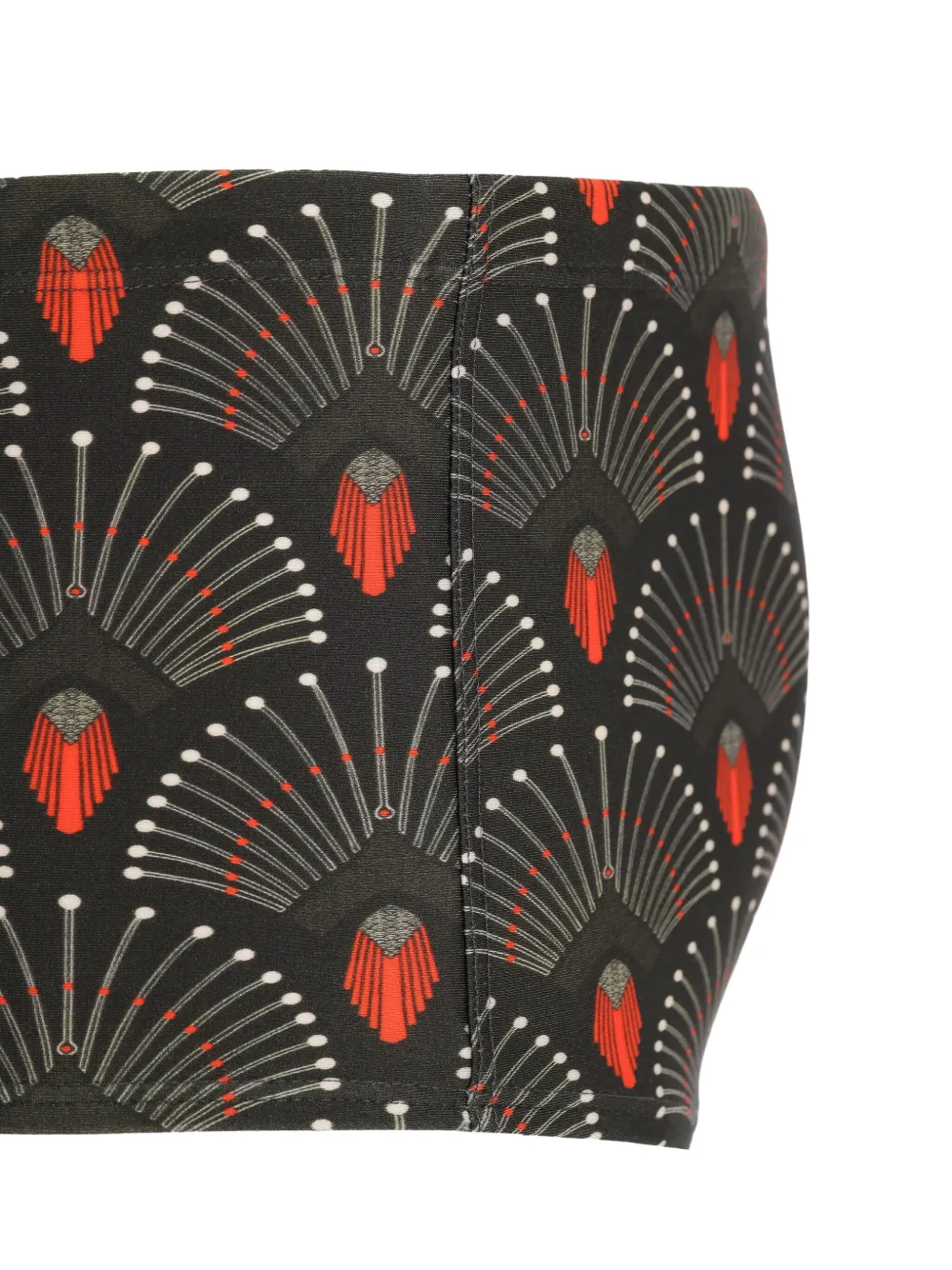 Lygia & Nanny geometric-print swim briefs Bruin