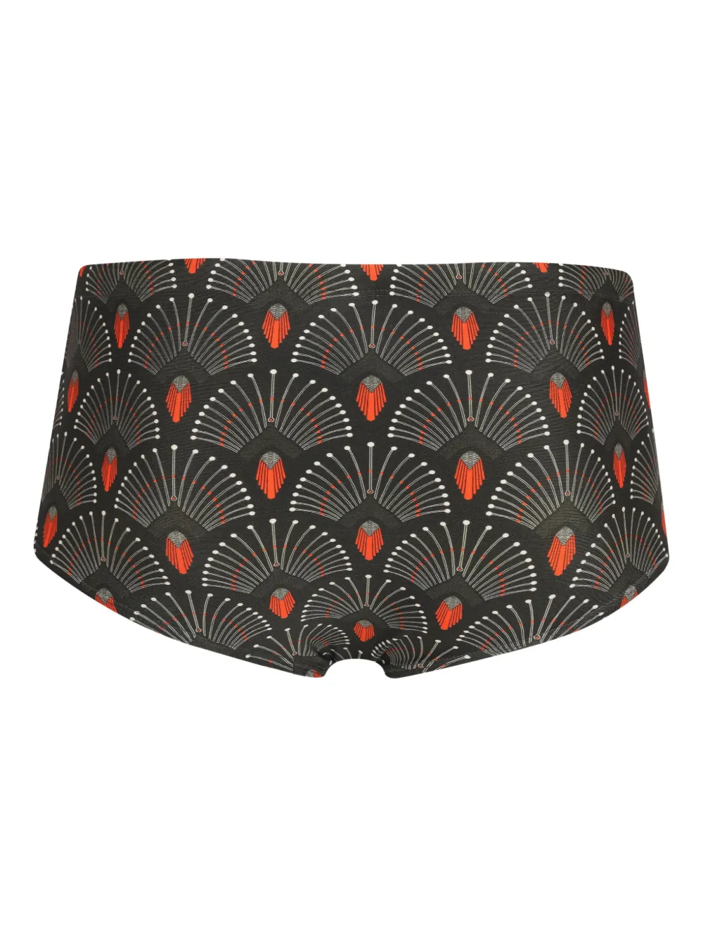 Lygia & Nanny geometric-print swim briefs Bruin