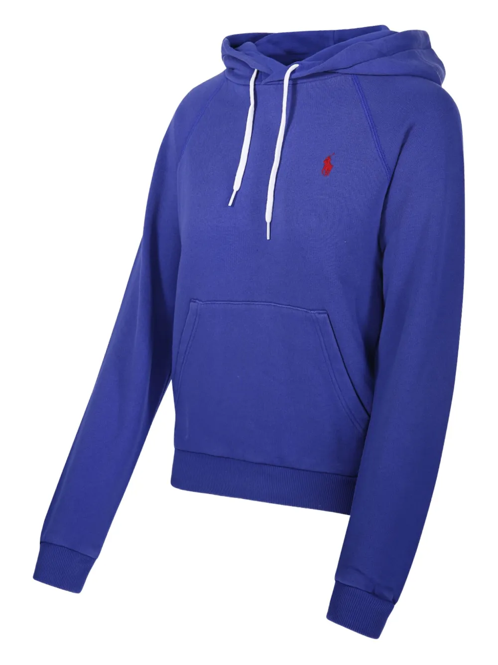 Polo Ralph Lauren Hoodie met print Blauw