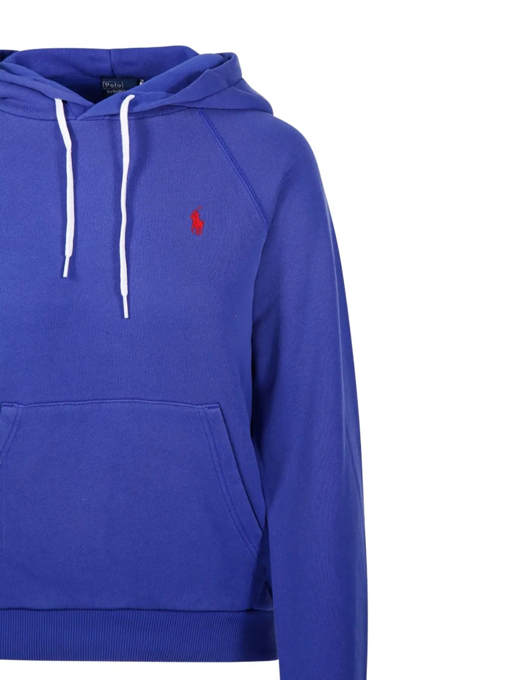 Polo Ralph Lauren Hoodie met print Blauw