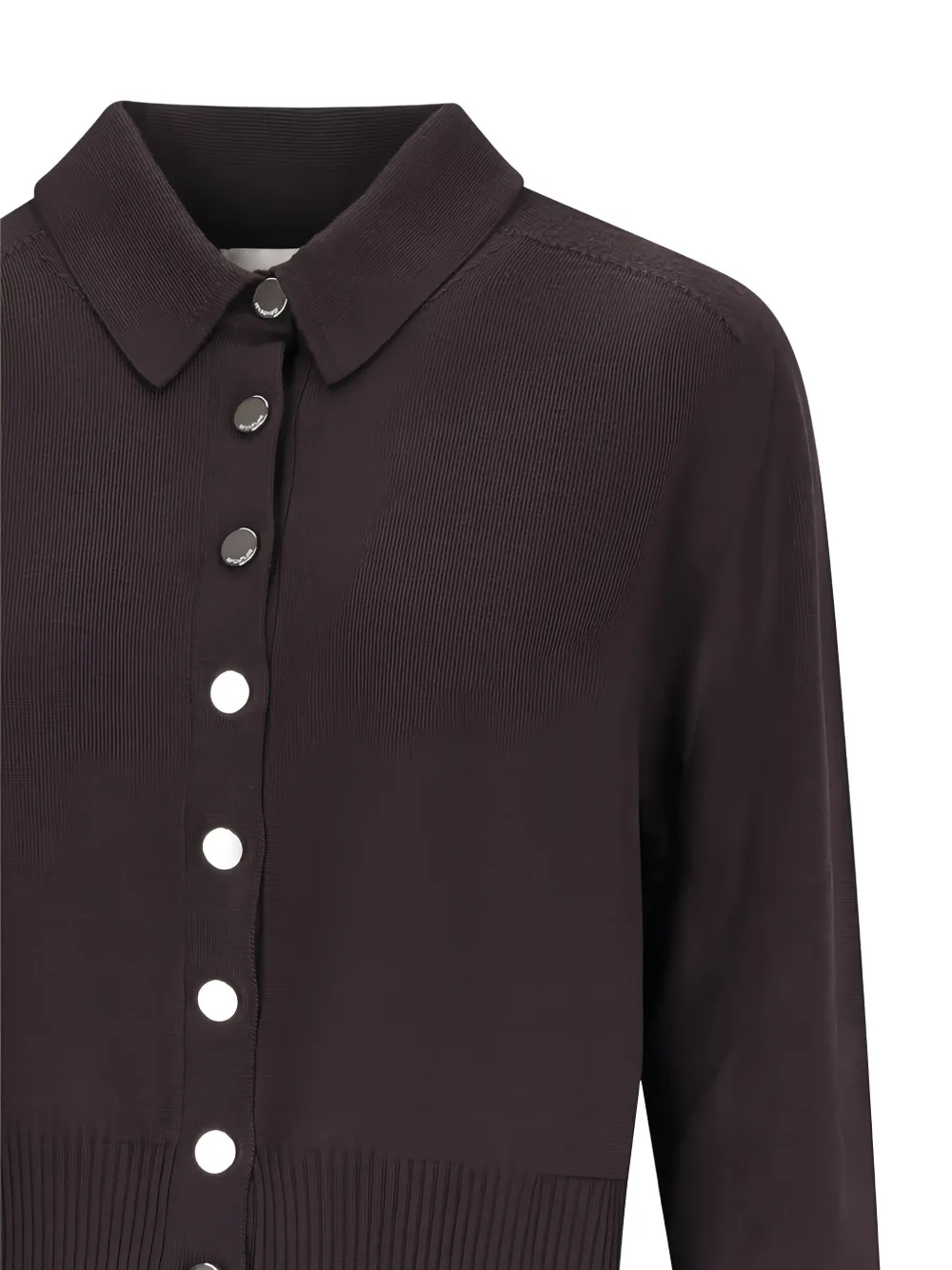 Sportmax Knitwear With Long Sleeves And Regular Collar In Brown