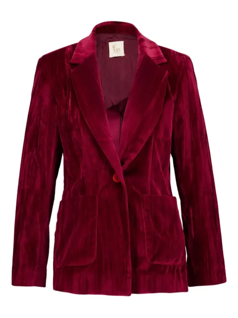 PAULA Tansy blazer