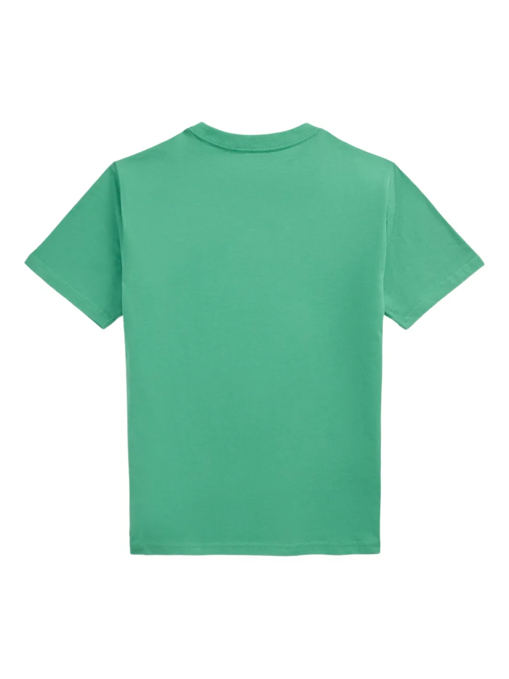 POLO RALPH LAUREN KIDS T-shirt met borduurwerk Groen