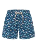MC2 Saint Barth Kids shark-print swim shorts - Blue