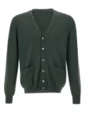 Gran Sasso merino cardigan - Green