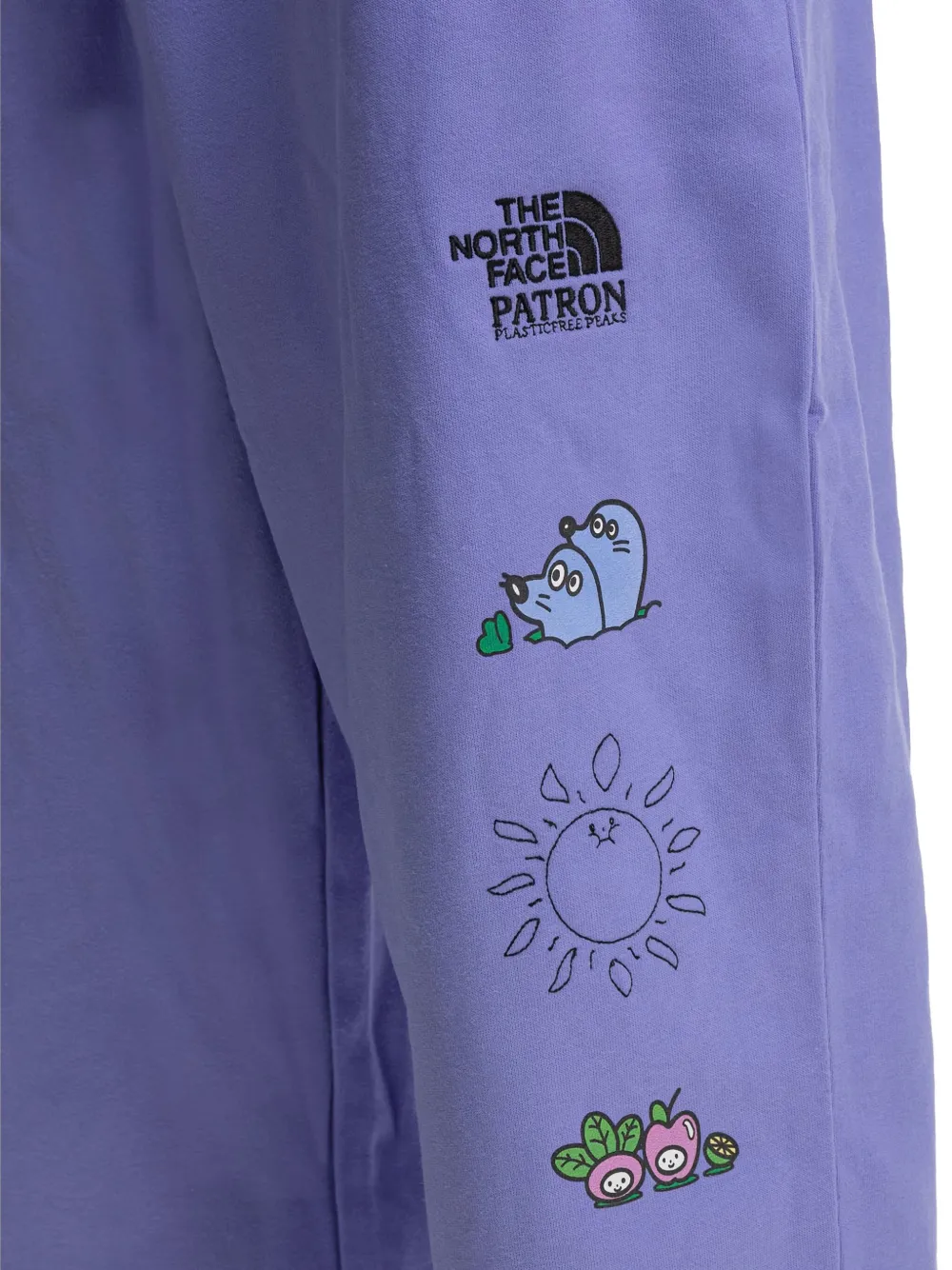 The North Face Mountain Cleanup katoenen trainingsbroek Blauw