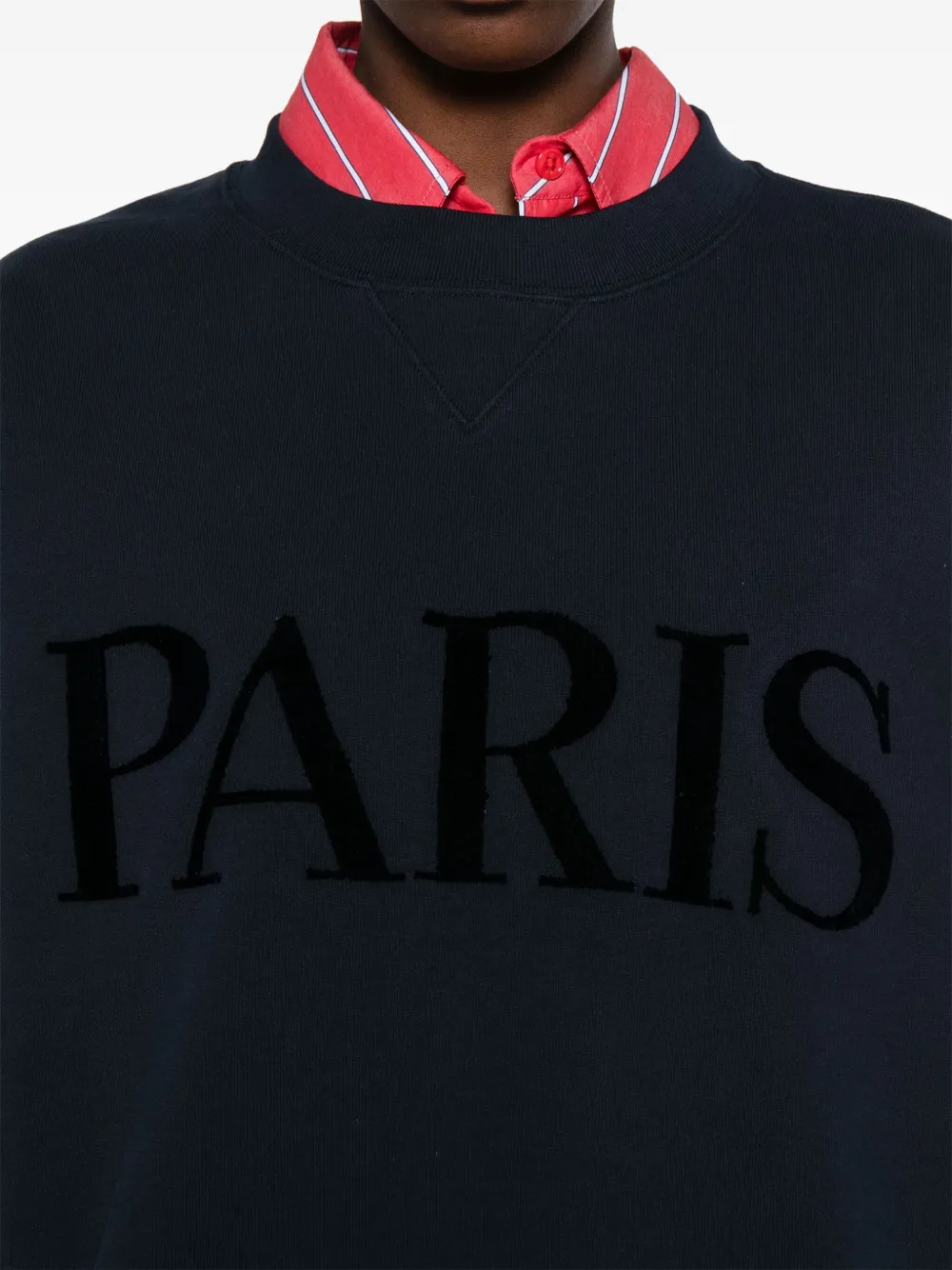 Maje Sweater met print Blauw