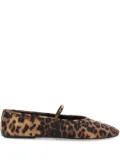 Jeffrey Campbell Dancerina ballet shoes - Brown