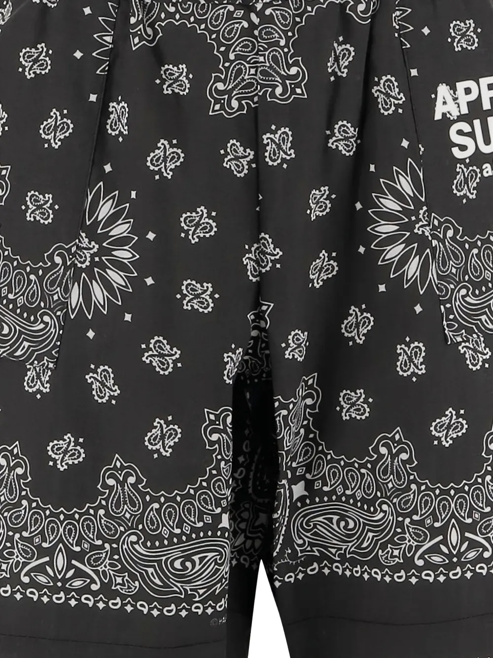 Après Surf Apres Surf Cotton Pants With Bandana Pattern