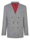Brunello Cucinelli Sharkskin blazer - Grey