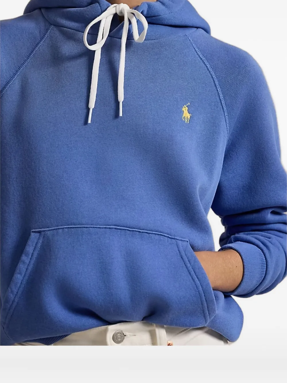 Polo Ralph Lauren Hoodie met print Blauw