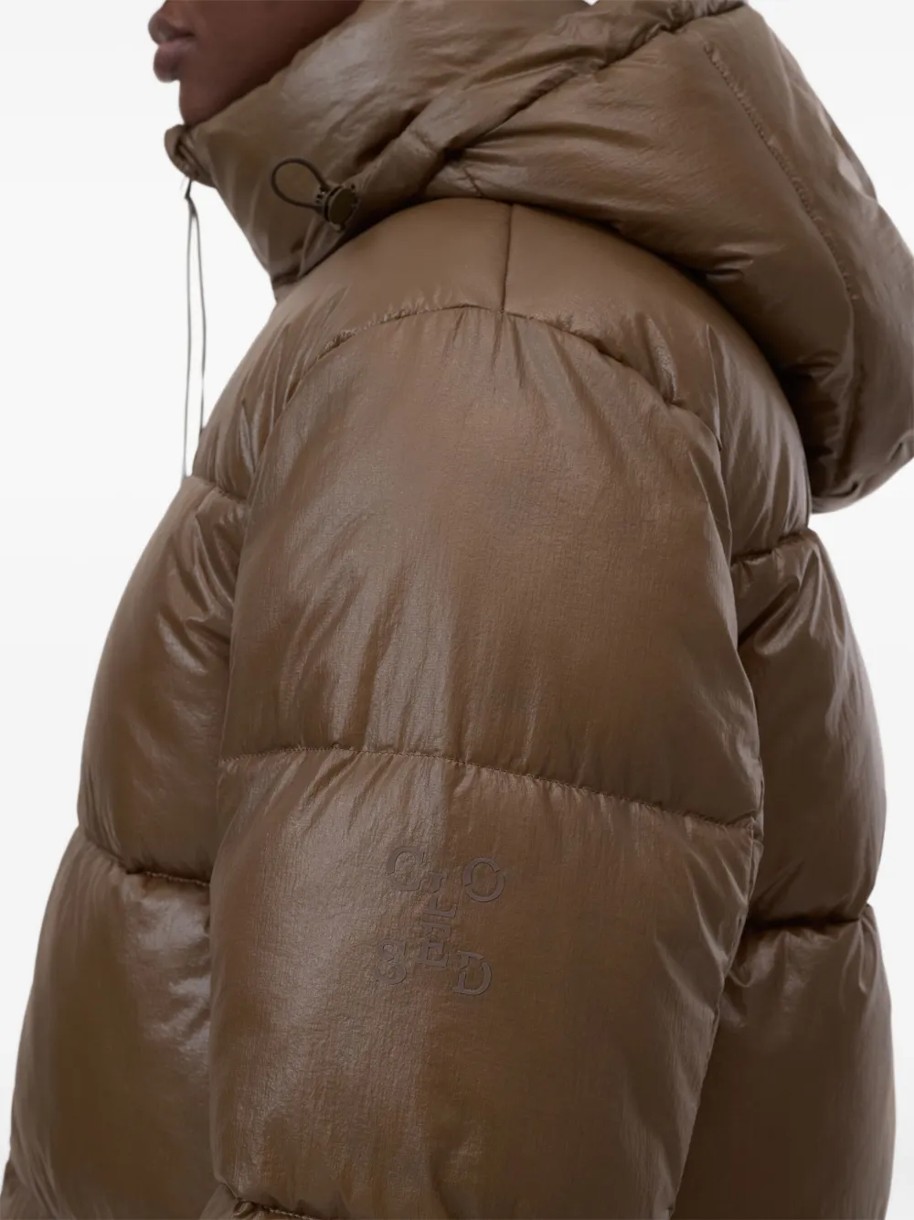 Closed Hooded Puffer Coat In Brown