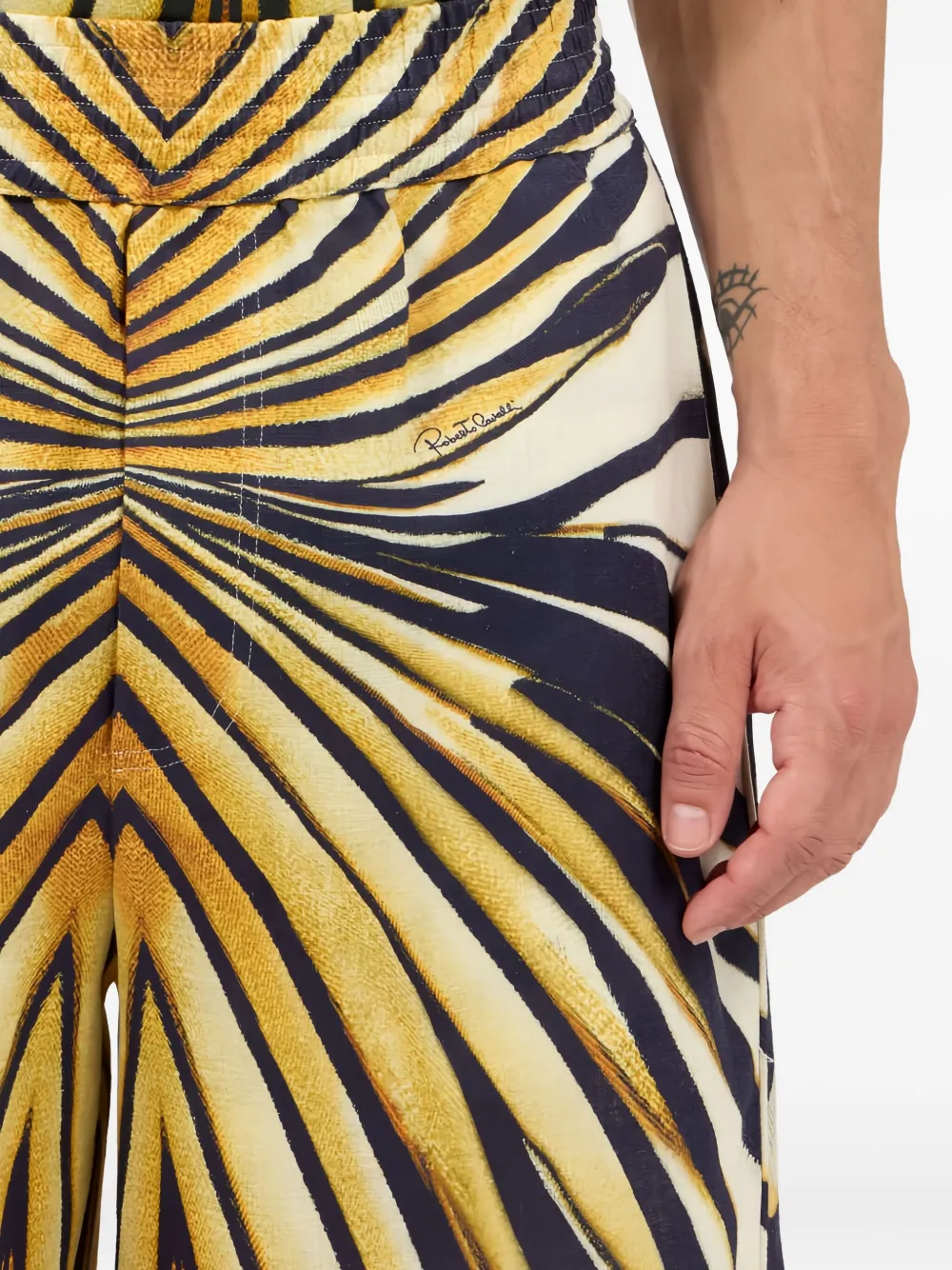 Roberto Cavalli Ray Of Gold Print Shorts In Multi