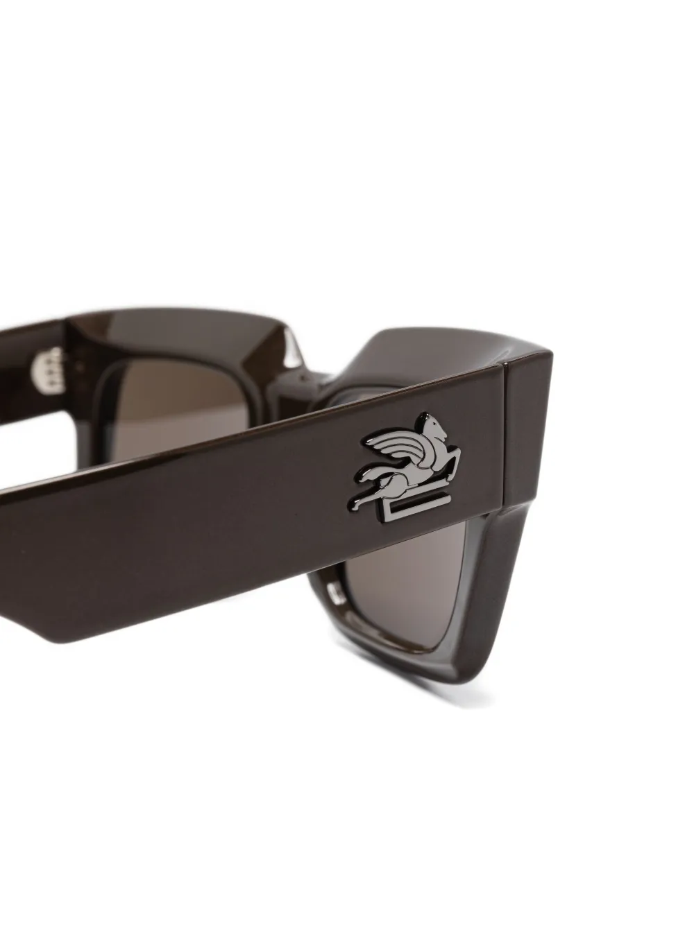 ETRO Pegaso zonnebril met vierkant montuur Bruin