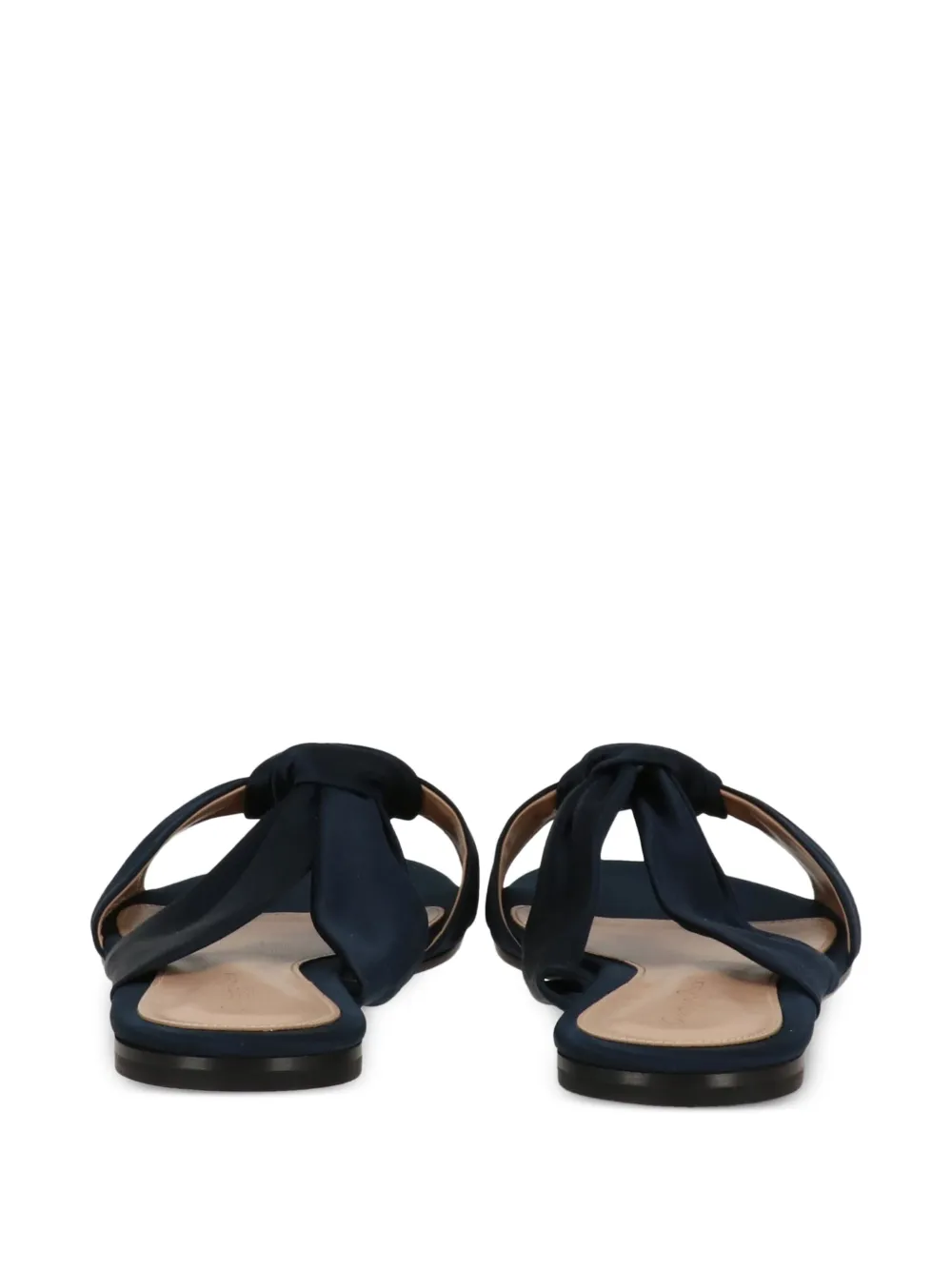 Gianvito Rossi denim sandals Blue