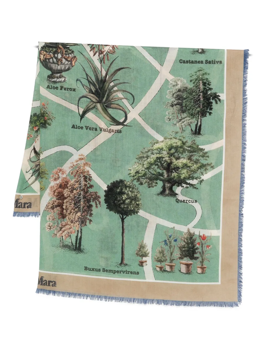 Max Mara Frida Botanical-print Fringed Scarf In Green