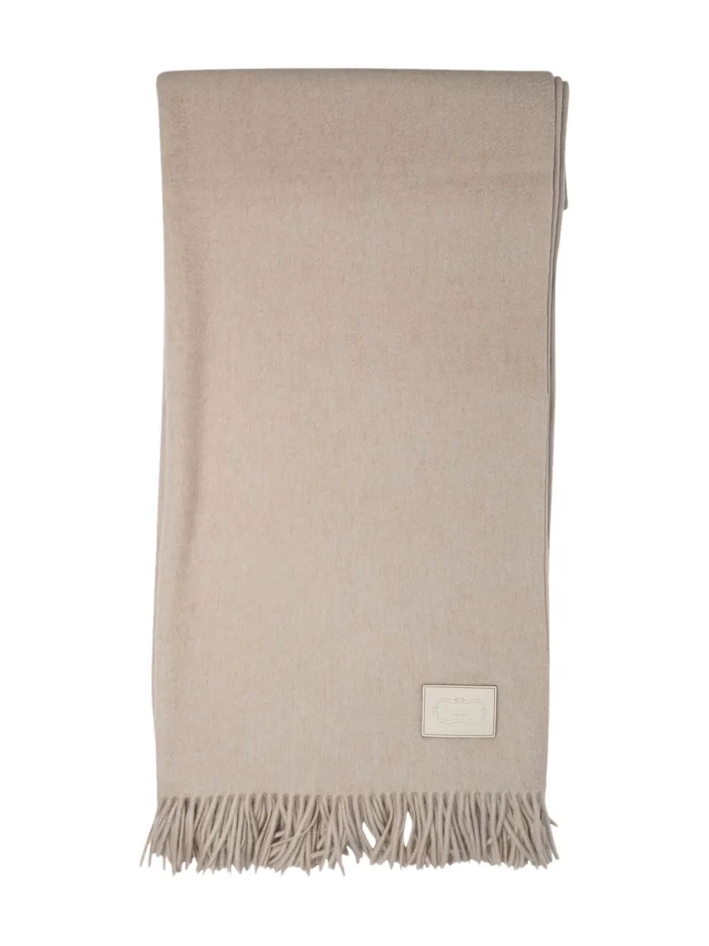 Agnona fringed wool scarf - Beige
