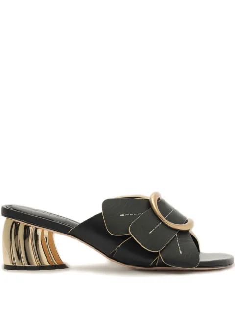 FARM Rio Daisy mules