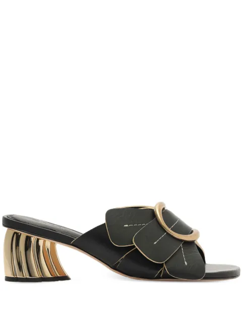 FARM Rio Daisy mules