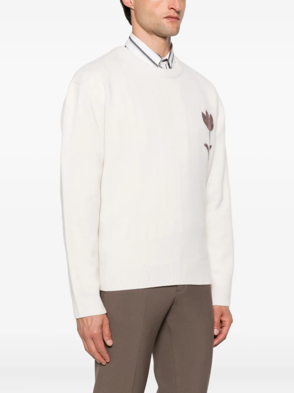 SANDRO Sweater met ronde hals en bloemapplicatie Beige