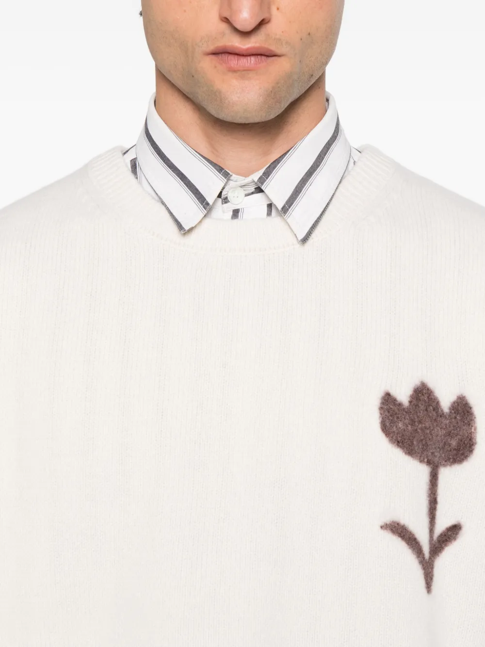 SANDRO Sweater met ronde hals en bloemapplicatie Beige